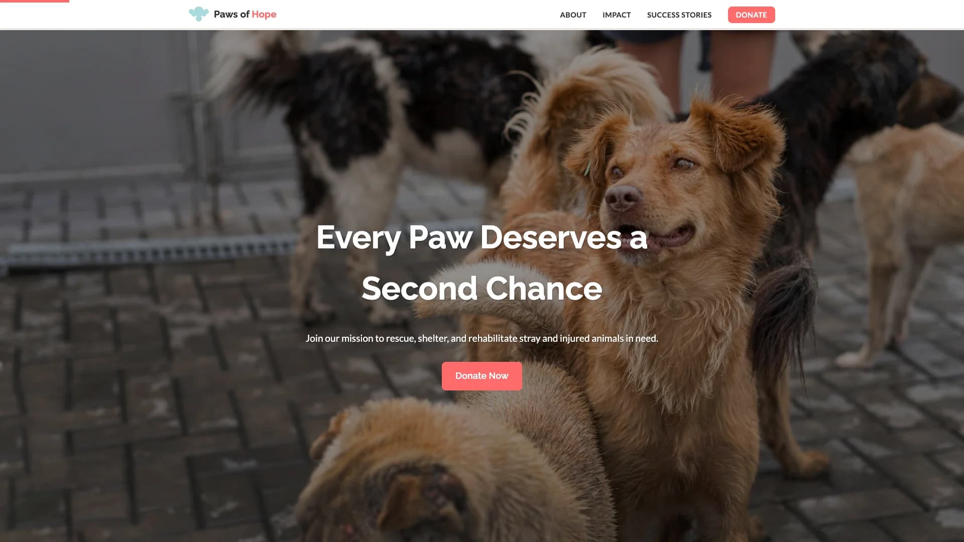 Animal Shelter